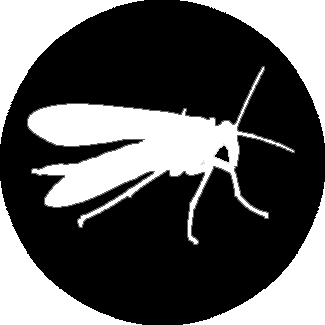 Mobile AL Mosquito Control Services